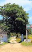 Туры в отель Pousada Ilha do Desejo Туры в отель Pousada Ilha do Desejo