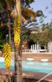 Туры в отель Jardim Secreto Guest House - Hostel Туры в отель Jardim Secreto Guest House - Hostel