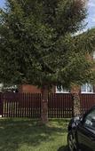 Туры в отель «Коттедж в Ивановском» коттедж Туры в отель «Коттедж в Ивановском» коттедж