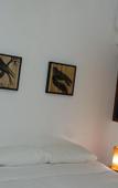 Туры в отель Estalagem 11 Suites Туры в отель Estalagem 11 Suites