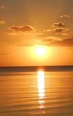Туры в отель Coral Harbour Beach House And Villas Туры в отель Coral Harbour Beach House And Villas