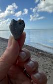 Туры в отель Belizima Eco Resort Туры в отель Belizima Eco Resort