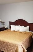 Туры в отель Baymont by Wyndham Montreal Airport Туры в отель Baymont by Wyndham Montreal Airport