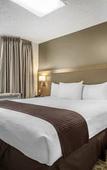 Туры в отель Best Western Plus Vancouver Airport Hotel Туры в отель Best Western Plus Vancouver Airport Hotel