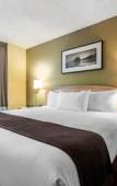 Туры в отель Best Western Plus Vancouver Airport Hotel Туры в отель Best Western Plus Vancouver Airport Hotel