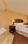 Туры в отель Hampton Inn & Suites by Hilton Edmonton Intl Airport Туры в отель Hampton Inn & Suites by Hilton Edmonton Intl Airport
