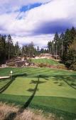 Туры в отель The Westin Bear Mountain Golf Resort & Spa, Victoria Туры в отель The Westin Bear Mountain Golf Resort & Spa, Victoria