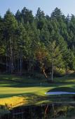 Туры в отель The Westin Bear Mountain Golf Resort & Spa, Victoria Туры в отель The Westin Bear Mountain Golf Resort & Spa, Victoria