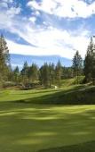 Туры в отель The Westin Bear Mountain Golf Resort & Spa, Victoria Туры в отель The Westin Bear Mountain Golf Resort & Spa, Victoria