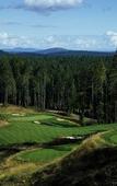 Туры в отель The Westin Bear Mountain Golf Resort & Spa, Victoria Туры в отель The Westin Bear Mountain Golf Resort & Spa, Victoria
