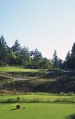Туры в отель The Westin Bear Mountain Golf Resort & Spa, Victoria Туры в отель The Westin Bear Mountain Golf Resort & Spa, Victoria