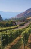 Туры в отель Fairfield Inn & Suites by Marriott West Kelowna Туры в отель Fairfield Inn & Suites by Marriott West Kelowna