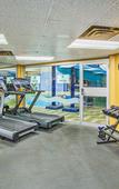Туры в отель Holiday Inn Sydney - Waterfront by IHG Туры в отель Holiday Inn Sydney - Waterfront by IHG