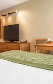 Туры в отель Comfort Inn Brockville Туры в отель Comfort Inn Brockville