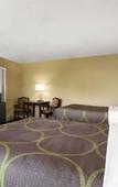 Туры в отель Super 8 by Wyndham Brockville Туры в отель Super 8 by Wyndham Brockville
