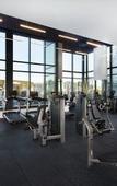 Туры в отель Holiday Inn Hotel & Suites Montreal Centre-ville Ouest by IHG Туры в отель Holiday Inn Hotel & Suites Montreal Centre-ville Ouest by IHG
