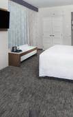 Туры в отель Holiday Inn Hotel & Suites Montreal Centre-ville Ouest by IHG Туры в отель Holiday Inn Hotel & Suites Montreal Centre-ville Ouest by IHG