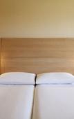 Туры в отель ibis Geneve Petit Lancy Туры в отель ibis Geneve Petit Lancy