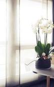 Туры в отель Mercure Plaza Biel Туры в отель Mercure Plaza Biel