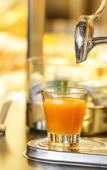 Туры в отель VitalBoutique Hotel Zurzacherhof Туры в отель VitalBoutique Hotel Zurzacherhof