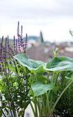 Туры в отель Hotel Hottingen Туры в отель Hotel Hottingen