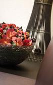 Туры в отель Hotel Hottingen Туры в отель Hotel Hottingen