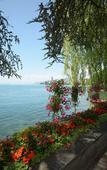 Туры в отель Youth Hostel Montreux Туры в отель Youth Hostel Montreux
