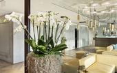 Туры в отель Hotel Kettenbrucke Туры в отель Hotel Kettenbrucke