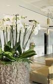 Туры в отель Hotel Kettenbrucke Туры в отель Hotel Kettenbrucke