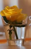 Туры в отель The Bed and Breakfast Туры в отель The Bed and Breakfast