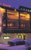 Туры в отель Hotel Santis Lodge Туры в отель Hotel Santis Lodge