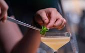 Туры в отель ART HOUSE Basel - Member of Design Hotels Туры в отель ART HOUSE Basel - Member of Design Hotels