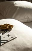 Туры в отель Starling Hotel Residence Geneve Туры в отель Starling Hotel Residence Geneve