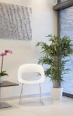 Туры в отель Starling Hotel Residence Geneve Туры в отель Starling Hotel Residence Geneve