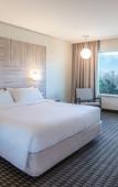 Туры в отель Pullman Santiago Vitacura Туры в отель Pullman Santiago Vitacura
