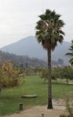 Туры в отель Hotel los Espanoles Plus Туры в отель Hotel los Espanoles Plus