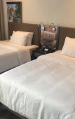 Туры в отель Hampton By Hilton Santiago Las Condes Туры в отель Hampton By Hilton Santiago Las Condes