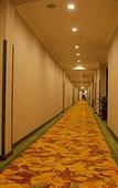 Туры в отель GreenTree Inn Shanghai Minhang Development Zone Subway Station Business Hotel Туры в отель GreenTree Inn Shanghai Minhang Development Zone Subway Station Business Hotel