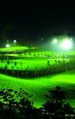 Туры в отель Dragon Lake Princess Hotel Туры в отель Dragon Lake Princess Hotel
