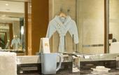 Туры в отель Howard Johnson Hi-Tech Plaza Chengdu Туры в отель Howard Johnson Hi-Tech Plaza Chengdu