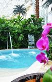 Туры в отель Tianjin Jingji Saintlight Resort&Spa Туры в отель Tianjin Jingji Saintlight Resort&Spa