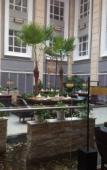 Туры в отель Fulitai International Hotel Туры в отель Fulitai International Hotel
