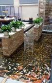 Туры в отель Fulitai International Hotel Туры в отель Fulitai International Hotel