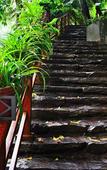 Туры в отель Longsheng Yunzhiwei · Muquan Boutique Wellness Homestay Туры в отель Longsheng Yunzhiwei · Muquan Boutique Wellness Homestay