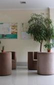 Туры в отель GreenTree Inn Yizheng Zhenzhou East Road Туры в отель GreenTree Inn Yizheng Zhenzhou East Road