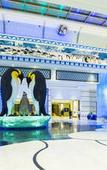 Туры в отель Chimelong Penguin Hotel Туры в отель Chimelong Penguin Hotel