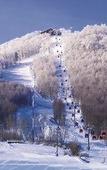 Туры в отель The Westin Changbaishan Resort Туры в отель The Westin Changbaishan Resort