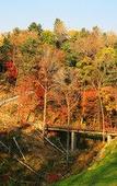 Туры в отель The Westin Changbaishan Resort Туры в отель The Westin Changbaishan Resort