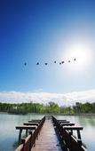 Туры в отель Sheraton Changbaishan Resort Туры в отель Sheraton Changbaishan Resort