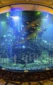 Туры в отель Country Garden Silver Beach Hotel Туры в отель Country Garden Silver Beach Hotel